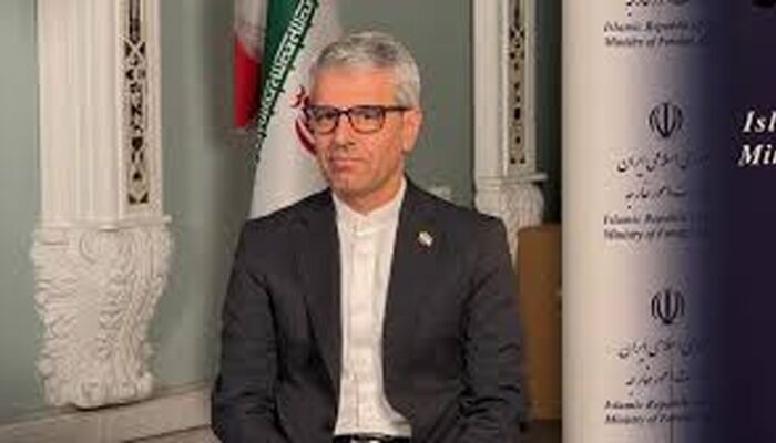 توصیه بقائی به گروسی: دست از سیاسی بازی بردار
