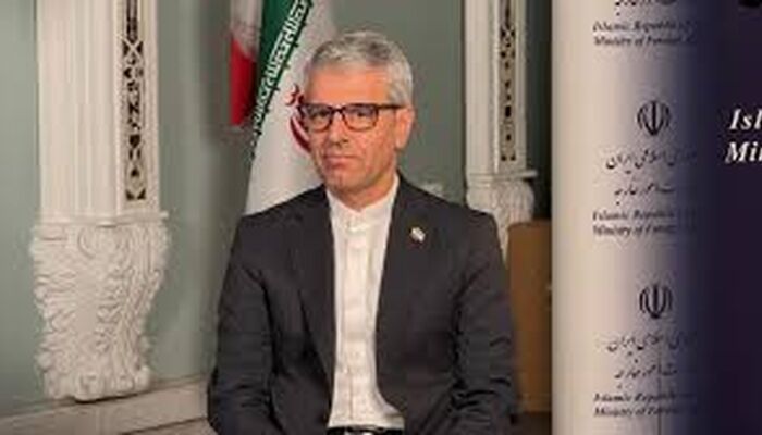 توصیه بقائی به گروسی: دست از سیاسی بازی بردار
