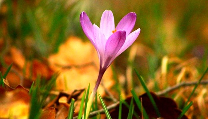 بازسازی اثرات جنگ را به نوروز بسپاریم