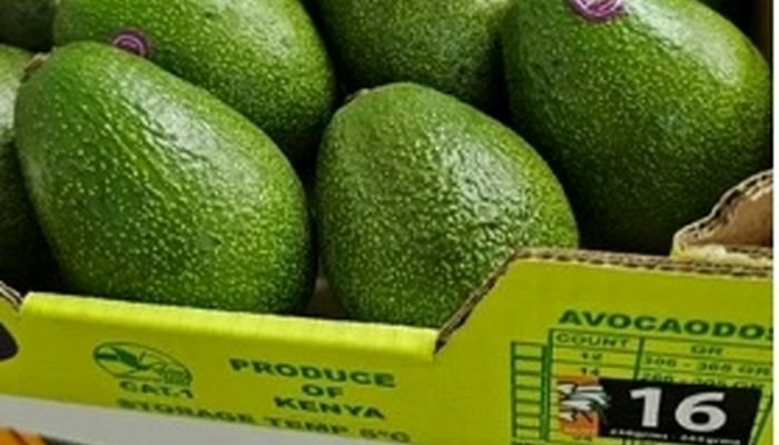 در بازار مواد غذایی چه خبر است؟