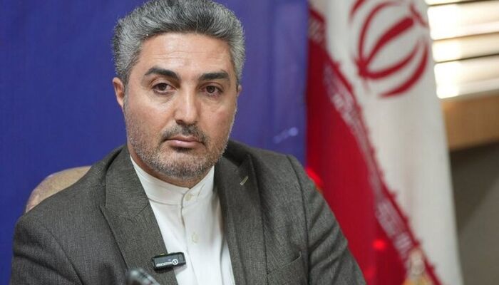 نماینده مجلس: امنیت حقوقی نباید قربانی تسهیل‌گری شود