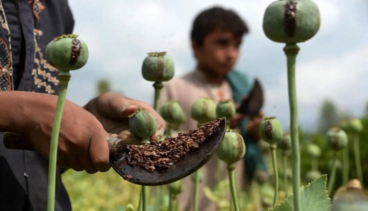 قانون اصلاح قانون مبارزه با مواد مخدر و الحاق موادی به آن