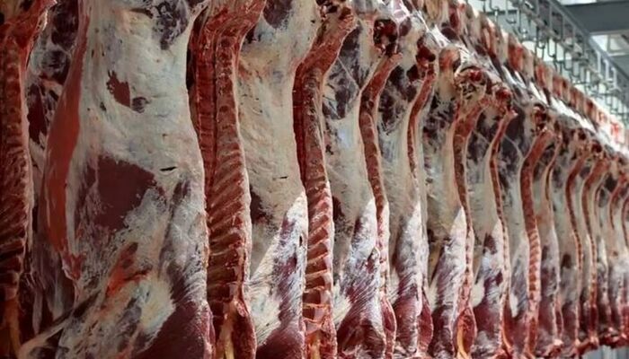 گوشت و مرغ روزانه شارژ می‌شوند؛ نظارت مداوم بازرسان بر بازار