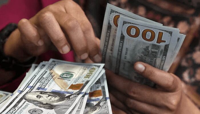 وعده درآمد دلاری؛ تله جدید کلاهبرداران «قصابی خوک»