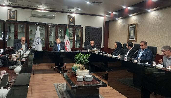 از مذاکره و داوری تا شکایت در شورای امنیت؛ راهکارهای جبران خسارت حمله به هواپیمایی کشور
