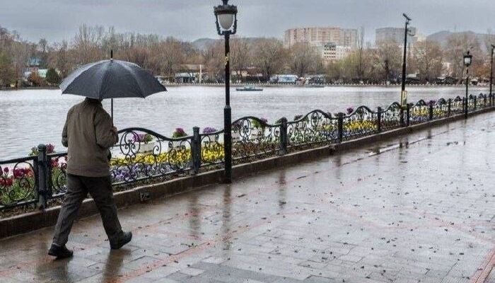 باران و برف در اغلب مناطق کشور
