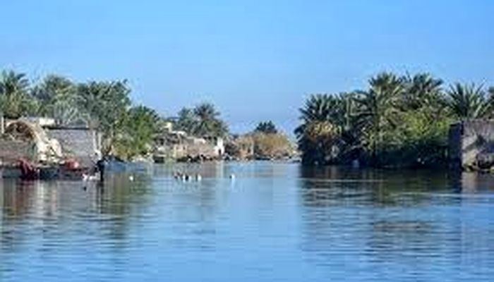 تالاب شادگان به مرز پرآبی رسید