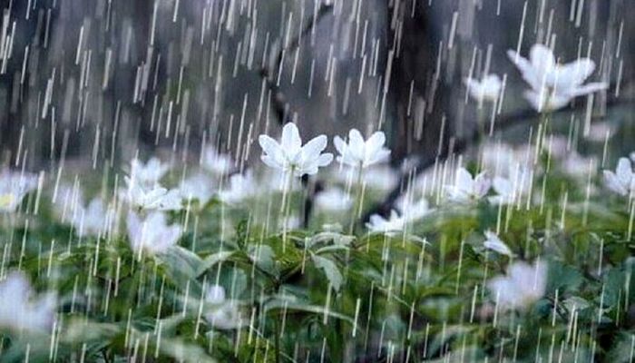 رگبار باران و رعدوبرق در ۱۴ استان